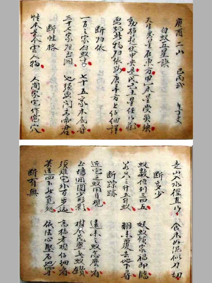 《白蚁五星诀》(8页)