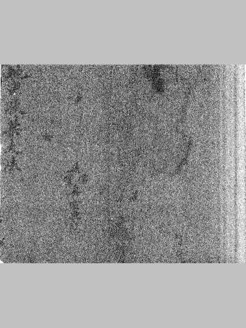 地司收禁大法（6页双面）