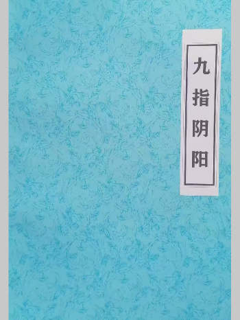 《九指阴阳》（阴阳先生必备）丧葬、下葬、迁坟等内容 57页