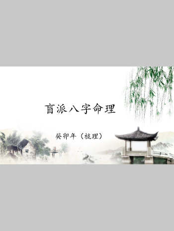 催老师催文举崔老师盲派八字笔记297页