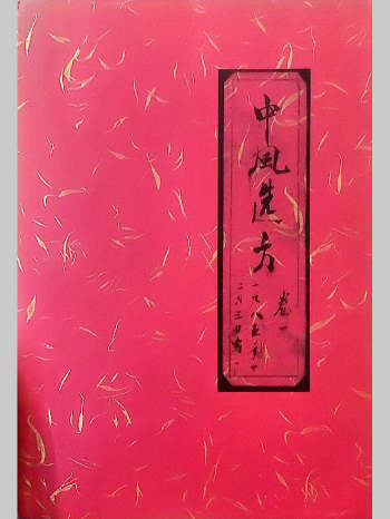 天津老中医一辈子心血抄录中药方《碧海求珠选方杂记》10卷全