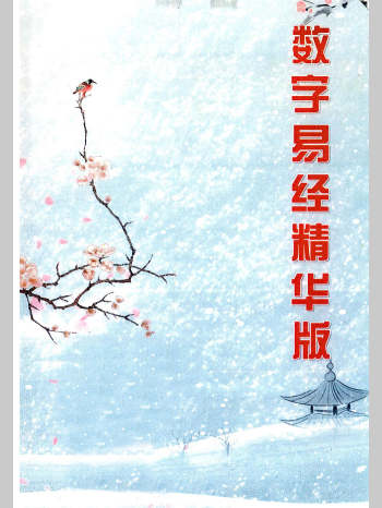 生辰数字立卦：数字算命、数字八字《数字易经精华版》391页