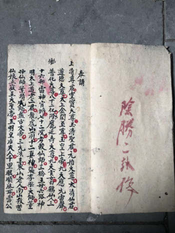 道医古籍《点神医病》29筒子页