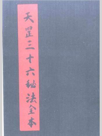 道家秘法《天罡三十六秘法全本》87页