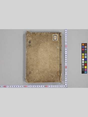 《经脉药注》（79页）