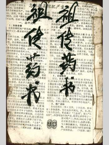 《祖传药书道医》96页