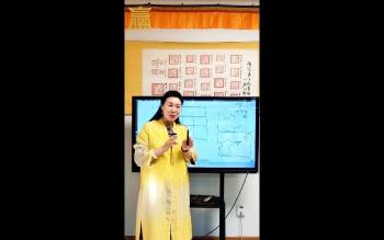 法赢《布局化解专修）80集视频