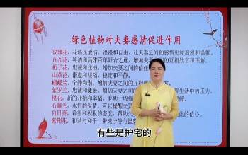李易玲《风水调理夫妻和合情感课》12集视频