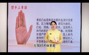 李易玲《一掌定乾坤》12集视频