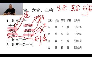 荣庵老师 四柱八字课程（初中高）系列105集视频