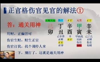 戊阳老师《四柱八字课程》18集视频