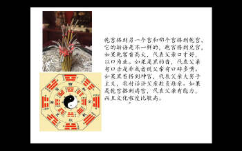 陈庆鹏 安徽相法《麻衣道香火灵通》16集