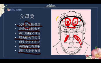 糖果《全息识人术》30集视频