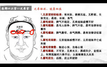 持敏《道传面相》31集视频约6.5小时课程