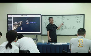 王玉川《天星干支能量学-八字》20集视频约33小时