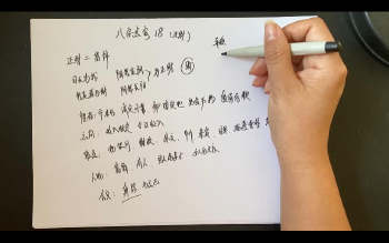 子元《八字点窍课》50集视频约17小时