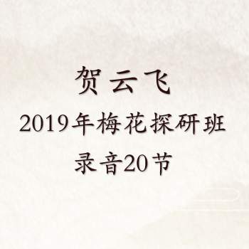 贺云飞2019年梅花探研班录音20节总时长约17.5小时