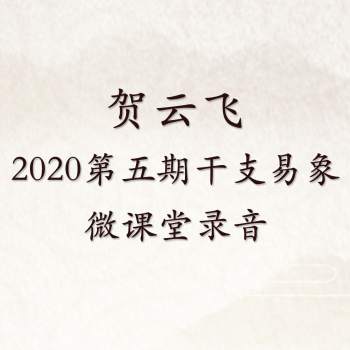 贺云飞2020第五期干支易象微课堂录音约1.5小时