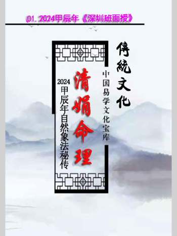 杨清娟 2024甲辰《深圳班面授》2024年高维班案例（309页）