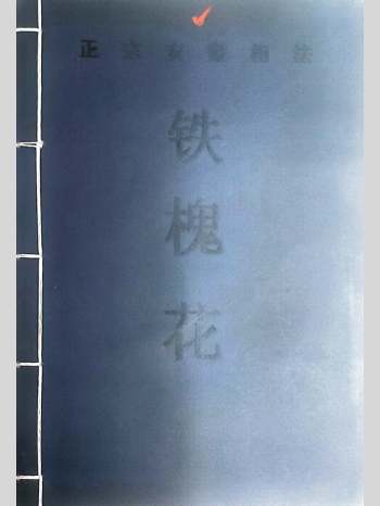 正宗安徽相法《铁槐花》上下集190页