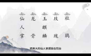 道一《家居风水》20集视频约7.5小时