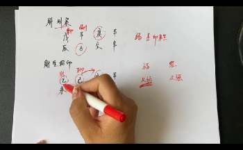 坤拓《四柱八字》50集视频约40.5小时