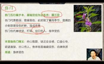 林涵予《奇门遁甲》32集视频约11.5小时