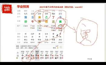 戊己先生《四柱系统化内部传承班》30集视频约40小时