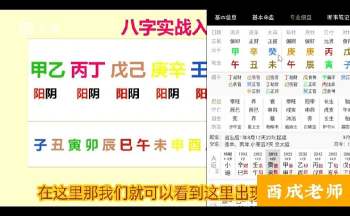 酉成《八字实战入门课程》40集视频约3小时