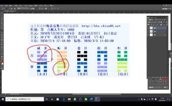 《梅花易数微观论，跟传统梅花不同，注重十神干支作用》共40集