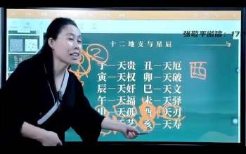 张敬平《达摩一掌经》12集视频