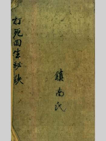 《打死回生秘诀》镇南氏.彩色版 82页