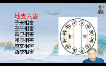 宝辉《四柱八字初级精进班》29集 共1.5小时