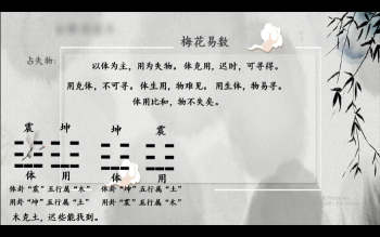 白静宇《道家梅花象学文化课》24集视频约2小时