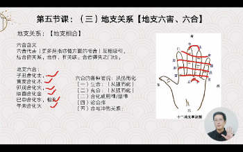 晓风《国学易经八字全套详解》87集视频约14小时
