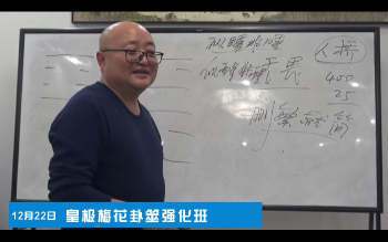 陈春林 2024年皇极梅花卦筮强化班视频26集