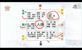 辰南《微信头像高阶班》55集（51视频+4文档）