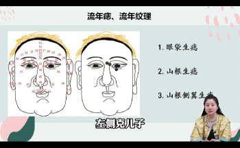 张芝鸣《面相识人学》视频14集约3小时