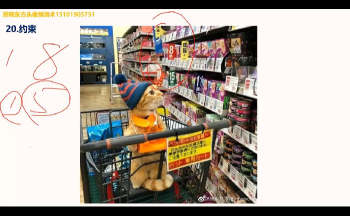 照明居士《头像分析高级班》视频20集约21小时