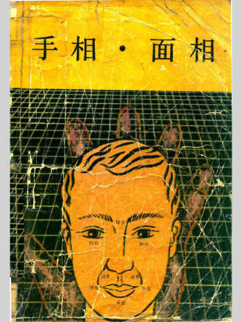 《手相 面相》刘天祥著 283页