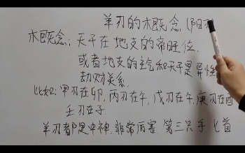 政燚四柱八字基础视频79集