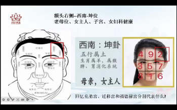 辰南老师《麻衣相术》教学视频20集约9小时