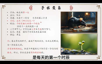 龙诗雅《八字命理初级班》63集视频约21小时