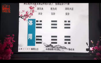 鲁永霞《梅花象数中班课程》2023年02月14日