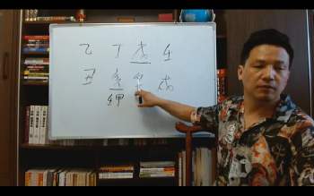 林炳坤《高级班辅导内训》视频125集