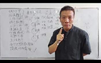 杨斌《金匮要略》临床带教密训营视频40集