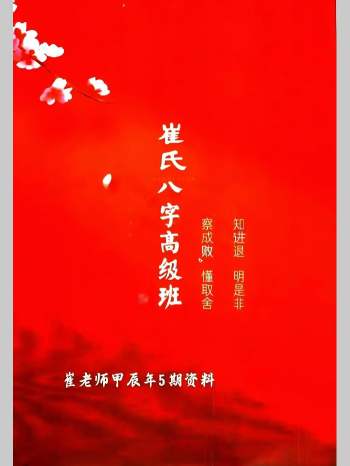 催文举《崔氏盲派八字高级班课堂笔记》甲辰年第五期电子版 636页