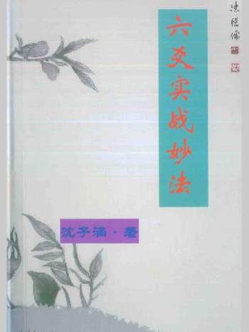 沈子涵《六爻实战妙法》269页