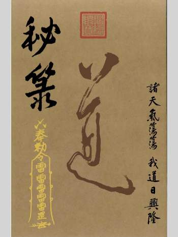 道教符咒法本《秘箓》彩色版 现代 233页
