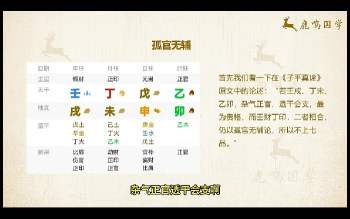鹿鸣国学八字实战训练营视频99集+资料